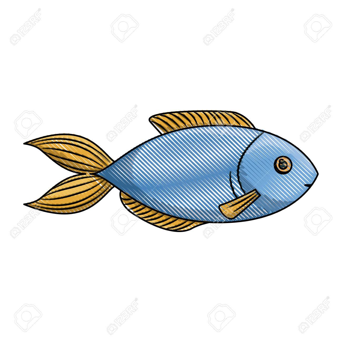 1300x1300 Colored Pencil Silhouette Of Blue Trout Fish Vector Illustration