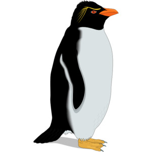 300x300 Penguin Clip Art Black And White Free Clipart Images 3