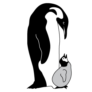 300x300 Free Vector Penguin Clipart Lineart Illustration Drawing.jpg (300