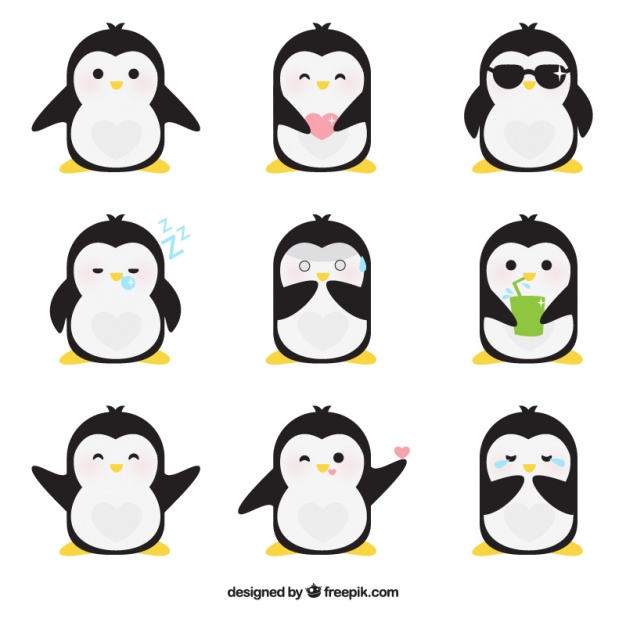 626x626 Penguin Vectors, Photos And Psd Files Free Download