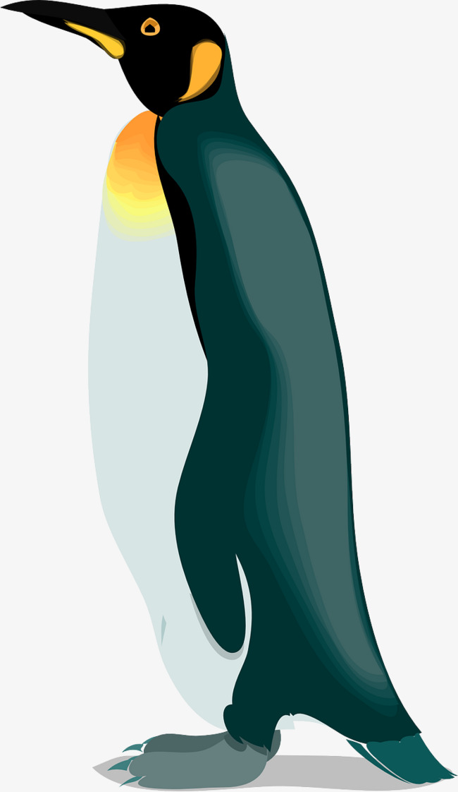 650x1122 Dark Blue Penguin Png Image For Free Download