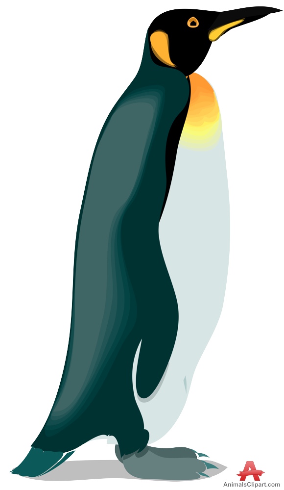 580x999 King Penguin Clipart Free Clipart Design Download