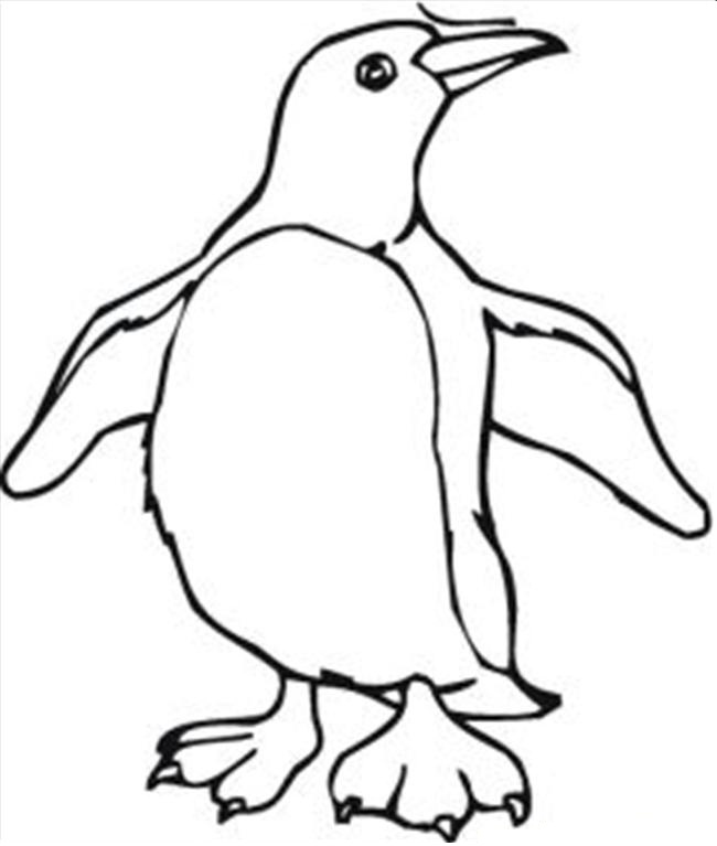 650x767 Free Printable Penguin Coloring Pages For Kids