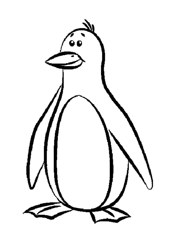 600x853 Marvellous Penguin Printable Coloring Pages Be Inspiration Article