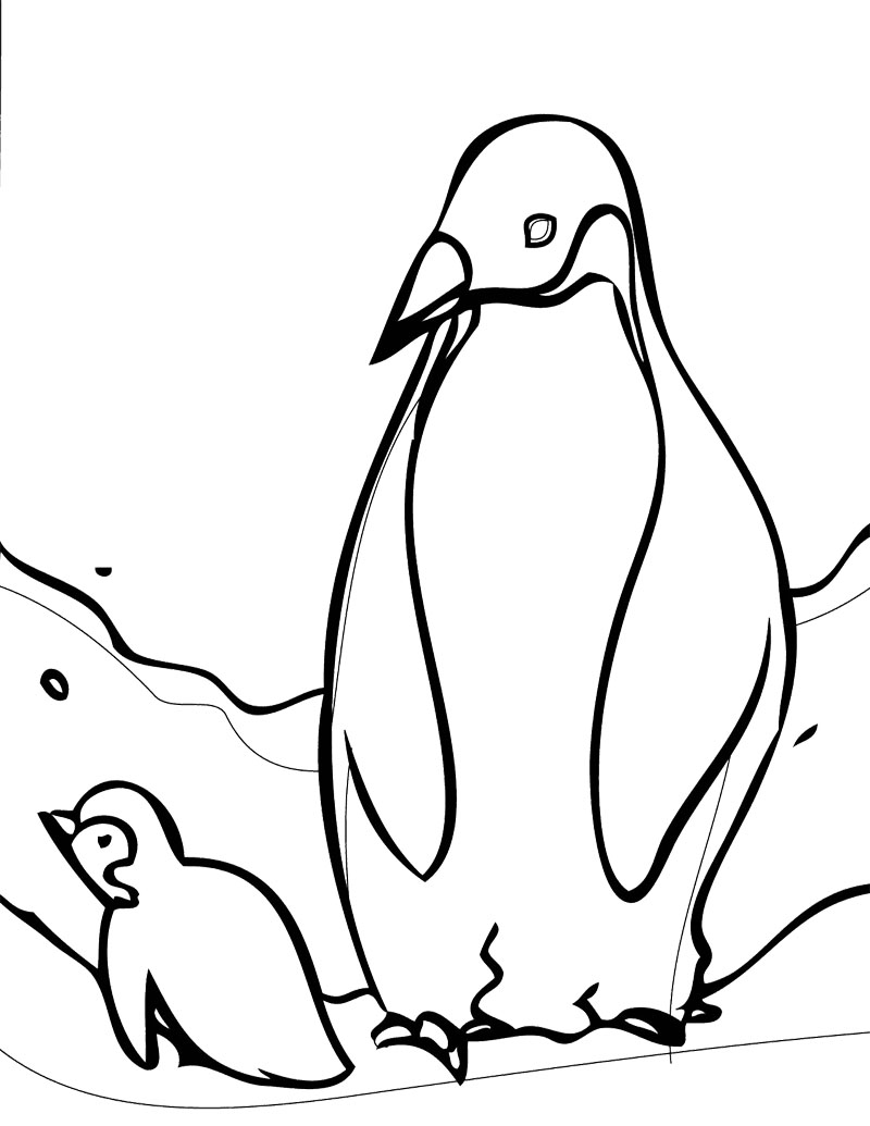 800x1035 Penguins Coloring Pages Emperor Penguin Cute Baby Animal Printable