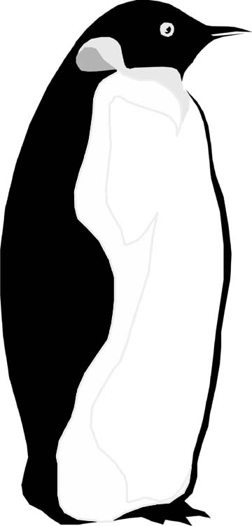360x752 Printable Pictures Of Penguins