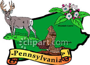 300x218 State Of Pennsylvania With State Symbols White Tailed Deer