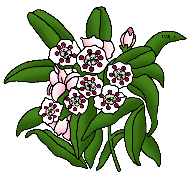 648x587 Mountain Flowers Clipart