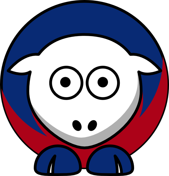 576x600 Sheep