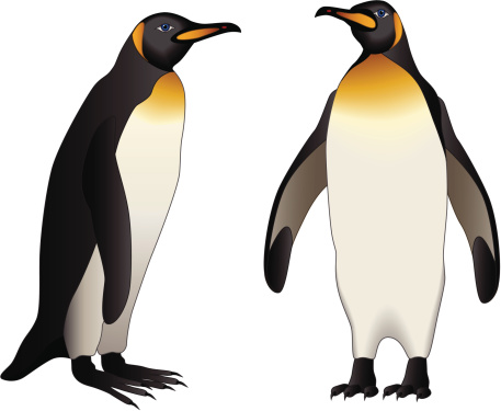 457x375 Valentine Penguin Clipart Animals Clip Art Downloadclipart Org 2