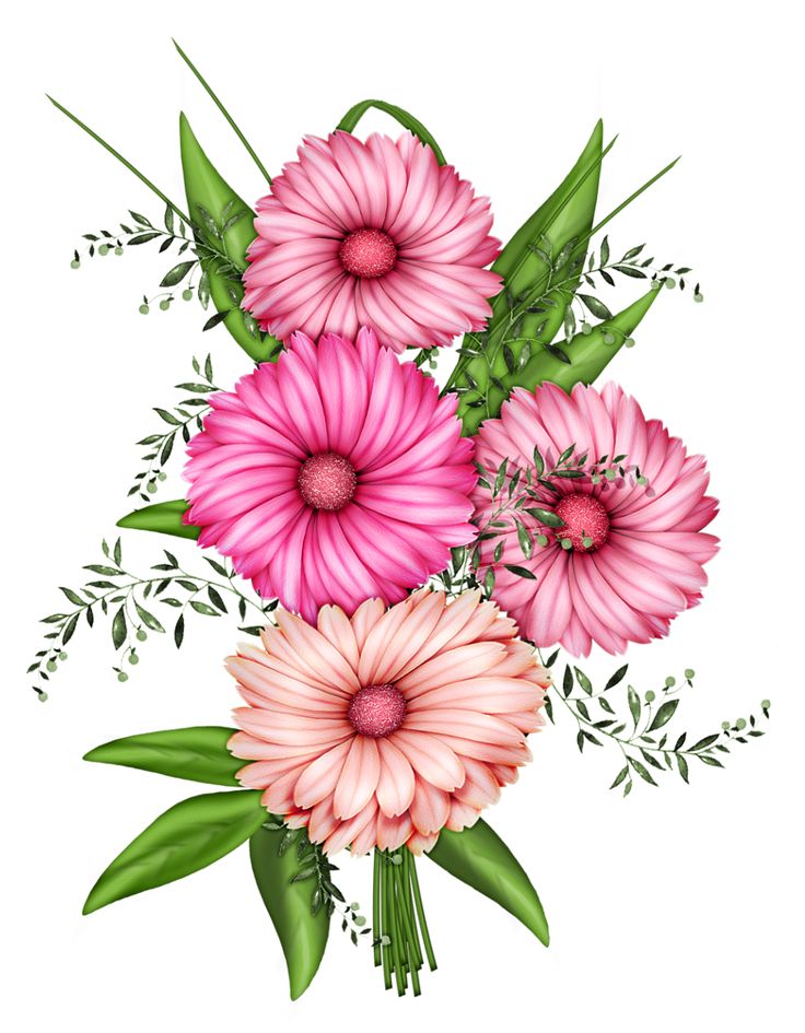 736x945 Flower Clip Art Png