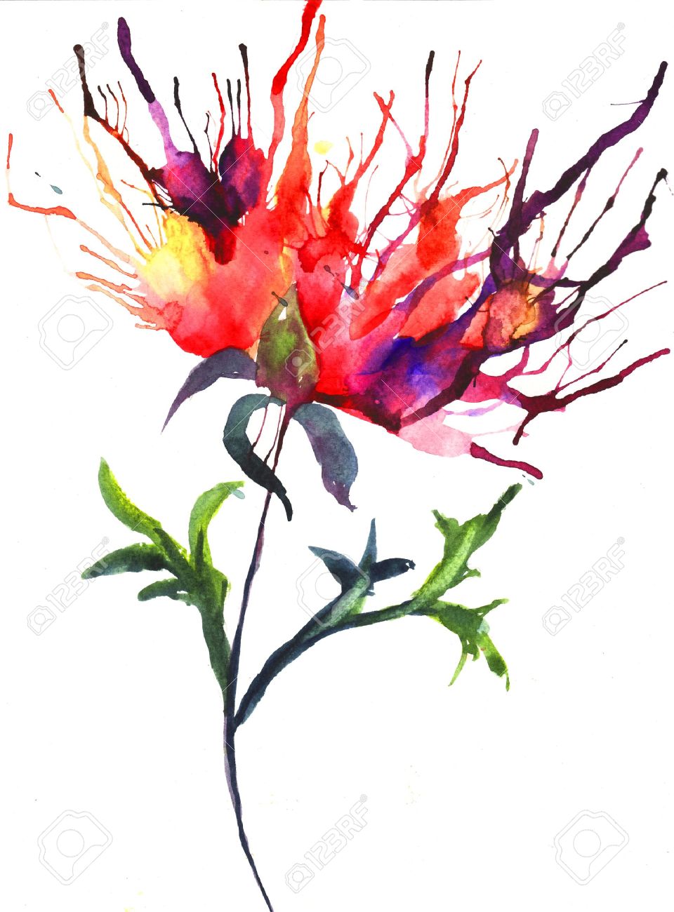 960x1300 Peony Clipart Abstract Watercolor
