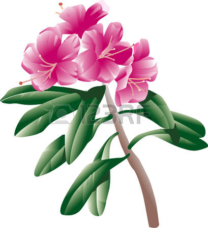 409x450 Rhododenron Clipart