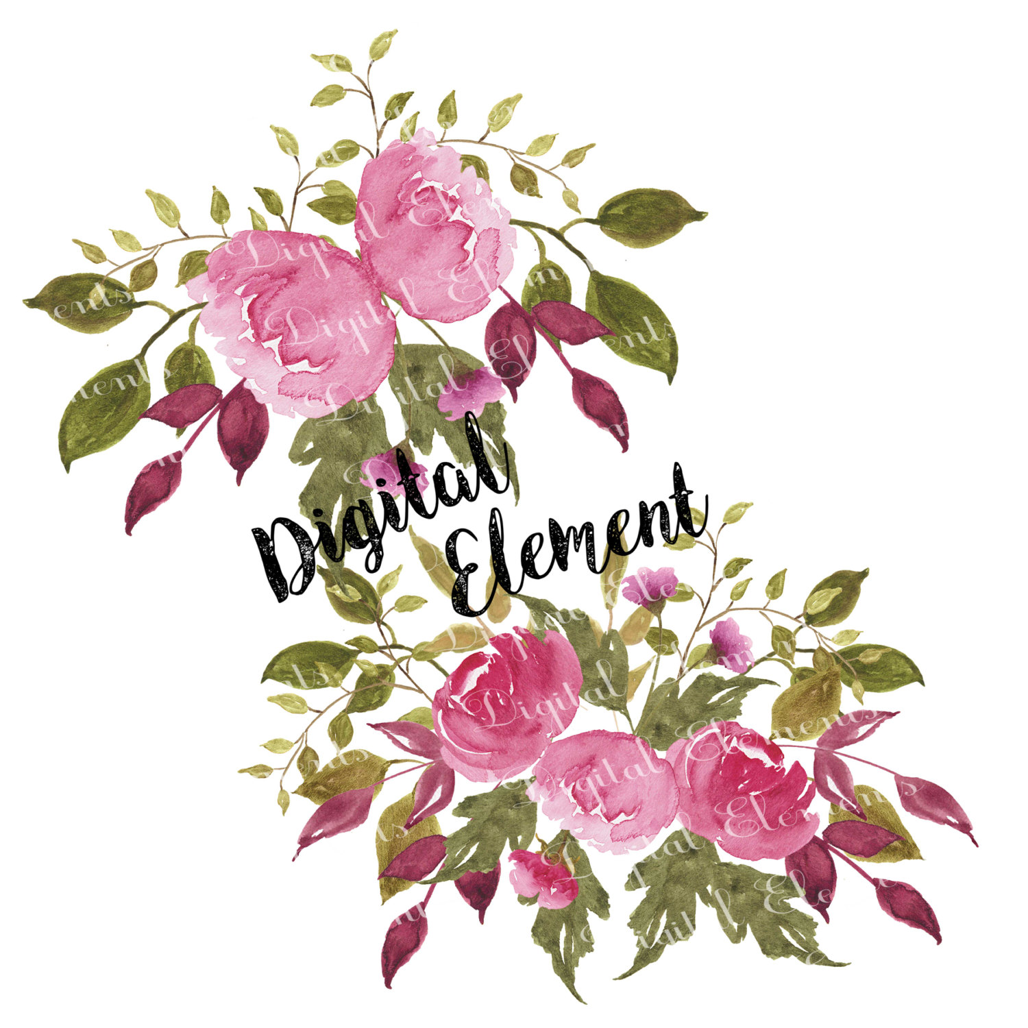 1500x1500 Watercolor Flower Clip Art, Digital Pink Peony Clip Art, Hand