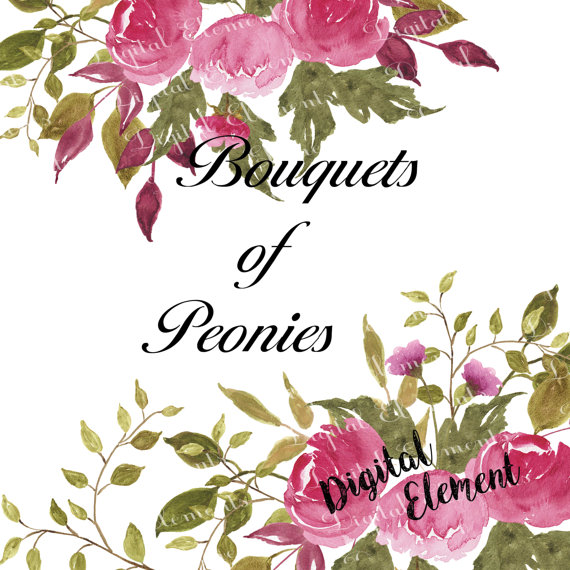 570x570 Watercolor Flower Clip Art Digital Pink Peony Clip Art Hand