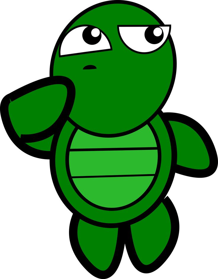 736x942 24 Best Turtles Images A Turtle, Animation And Clip Art