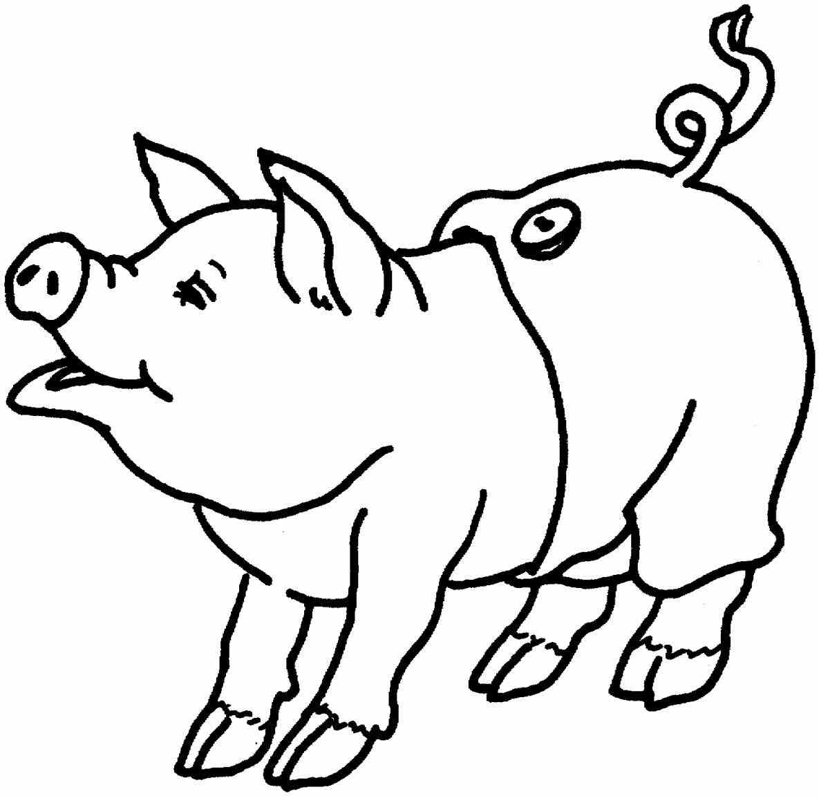 1185x1152 Cute Pig Coloring Pages Page Image Clipart Images
