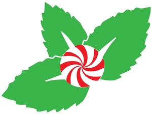 300x224 Peppermint Clipart Image