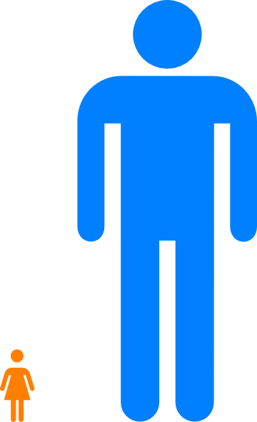 360x591 Percentage Men And Women Clip Art