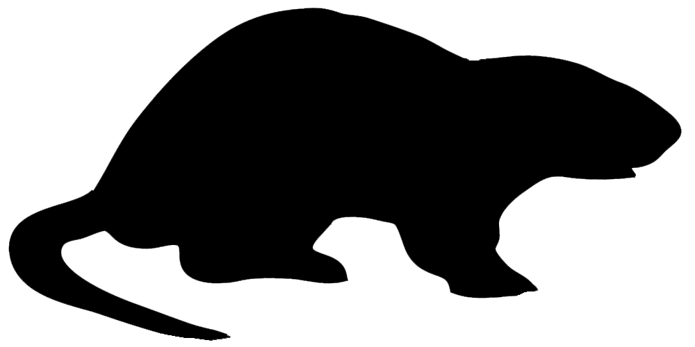 1000x500 Animal Silhouette, Silhouette Clip Art
