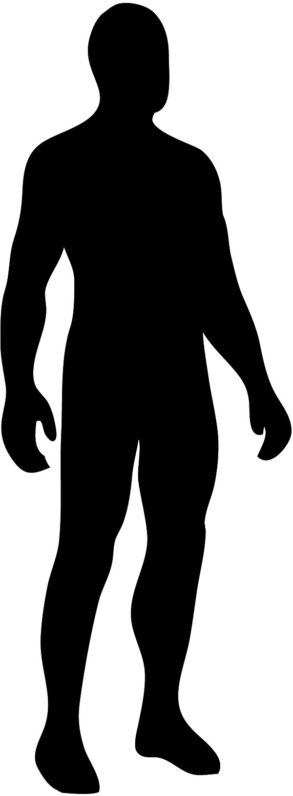 600x1627 Body Silhouette Clip Art Clipart