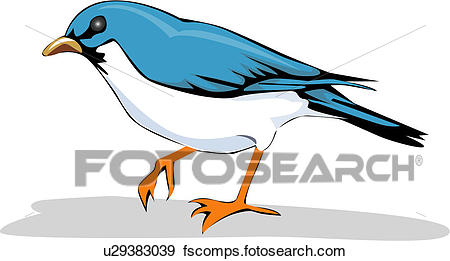 450x261 Clip Art Of Pet, Vertebrate, Wild Animal, Birds, Bird, Animal