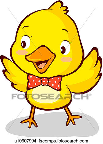 338x470 Drawings Of Bird, Chick, Avian, Animal, Vertebrate, Pet U10607994