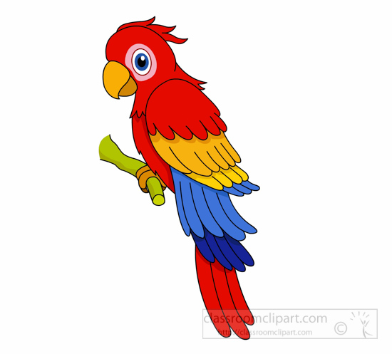 550x497 Macaw Clipart