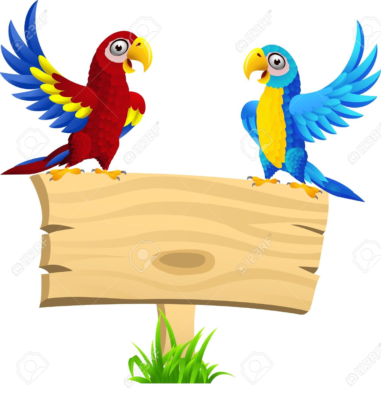 1249x1300 Macaw Clipart Pet Bird