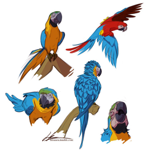500x509 Birds Clip Art Tumblr