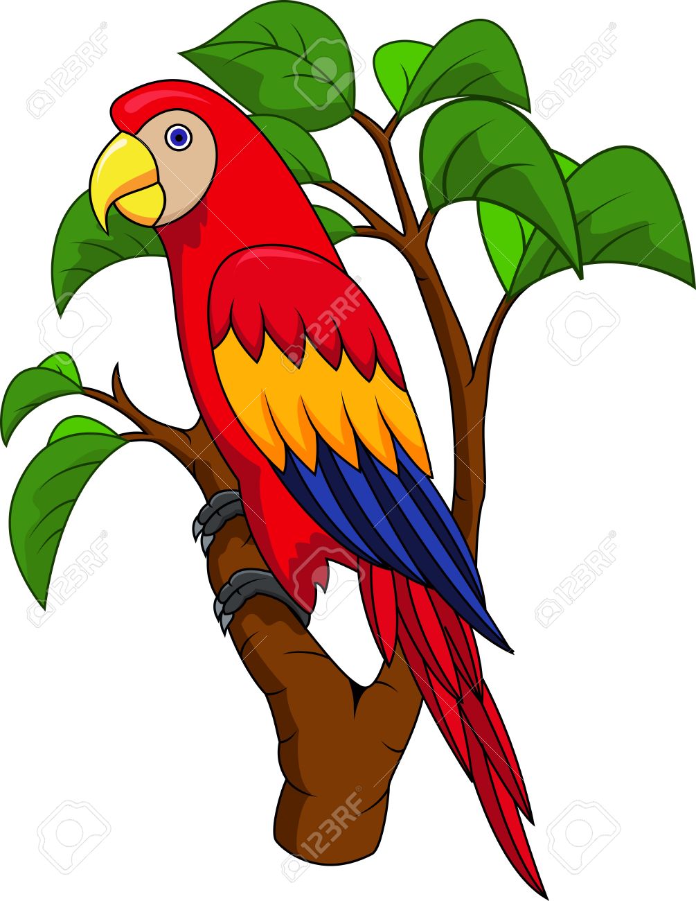 1005x1300 Beak Clipart Jungle Bird