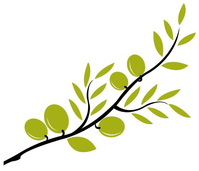 639x548 Olive Branch Clip Art
