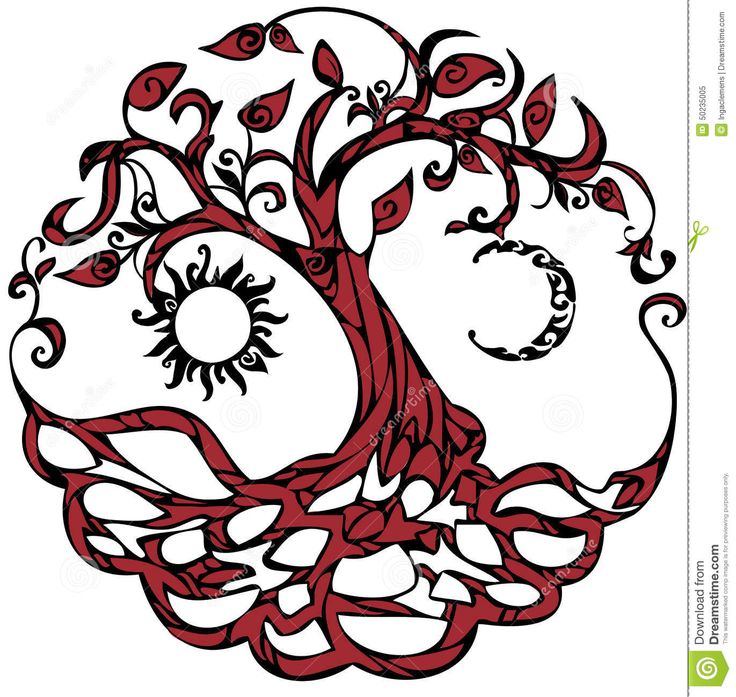 736x697 Free Clip Art Photography Cliparts