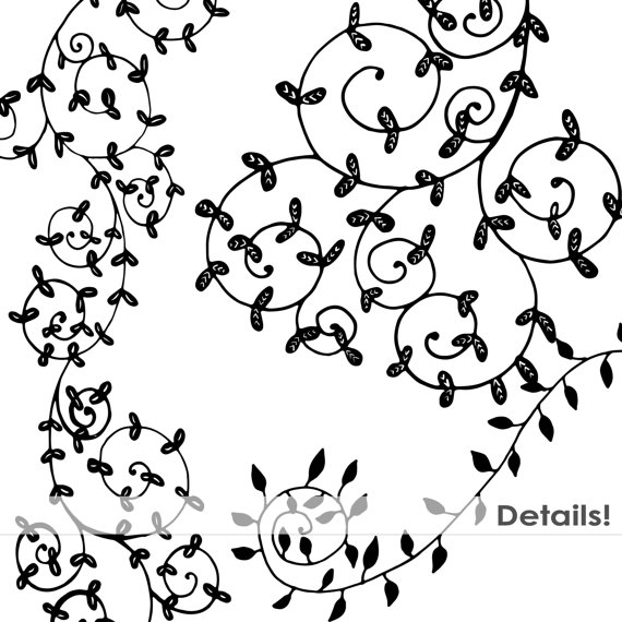 570x570 Decorative Ornamental Vine Clip Art Hand Drawn Foliage Amp