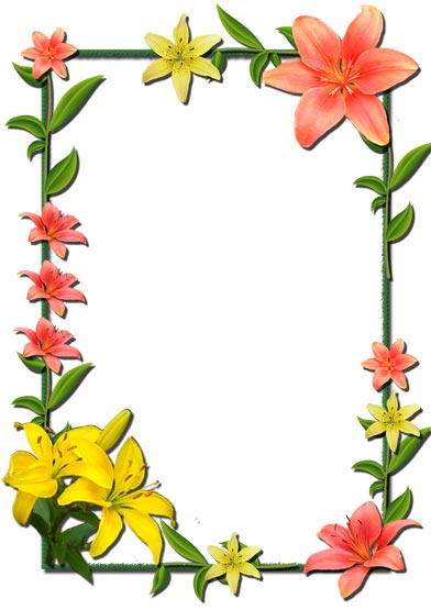 392x555 Photoshop Clipart Flower Photo Frames
