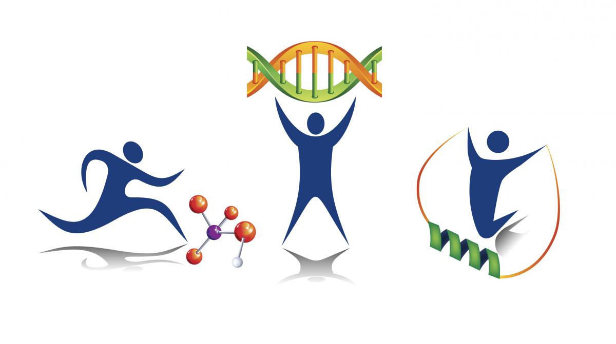 1200x671 Molecular Transducers Of Physical Activity In Humans