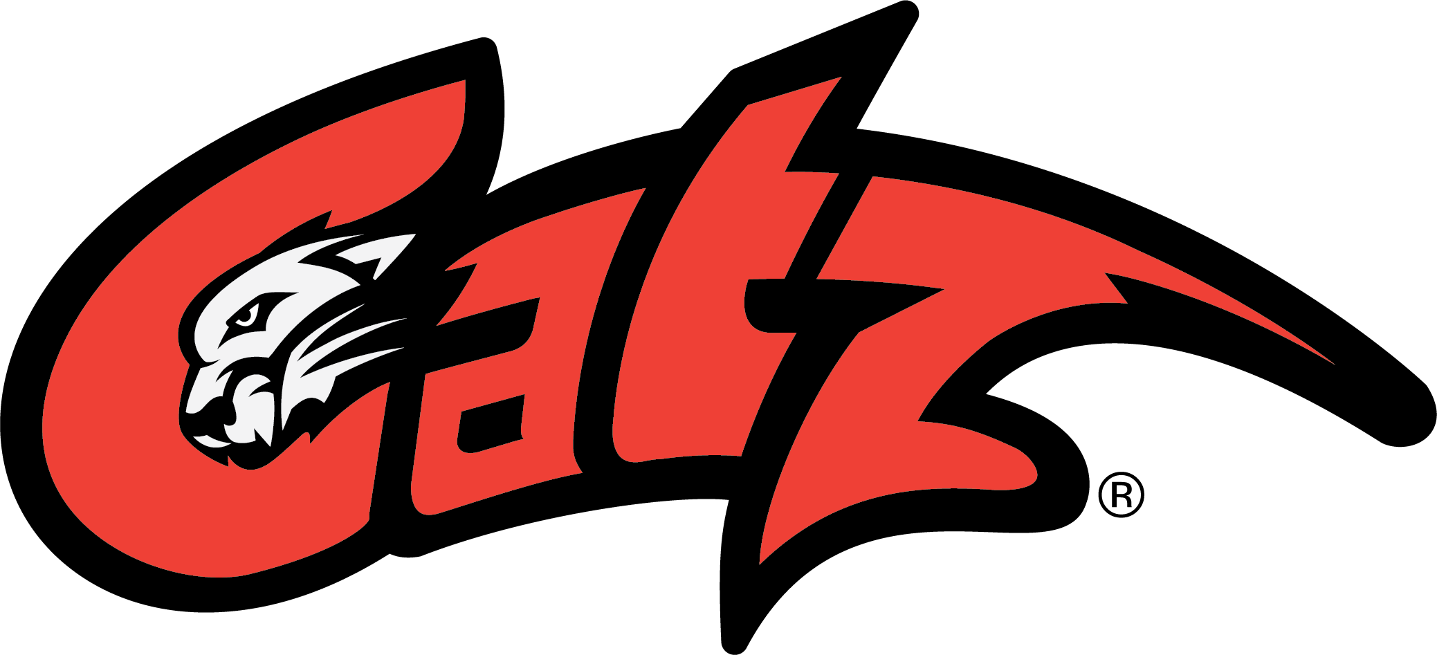 2077x947 Catz Pride Catz Physical Therapy, Athletic Gaines, Human