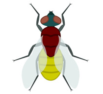 210x190 Free Animal Clipart