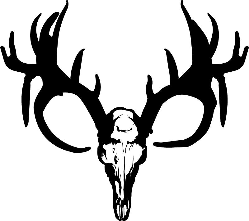800x712 Best Deer Skull Clip Art