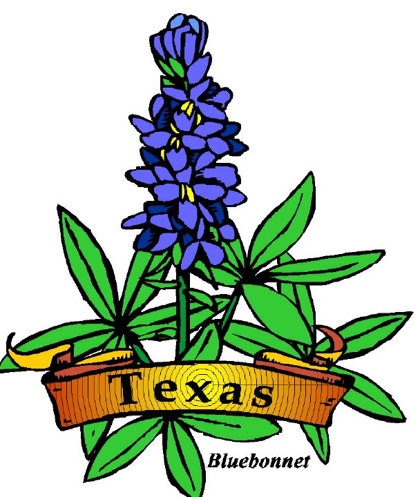 608x720 State Of Texas Clip Art Clipart 2