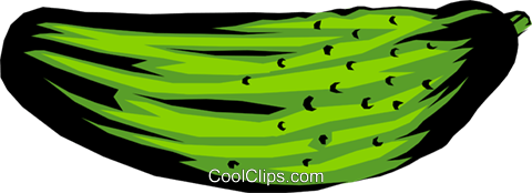 480x174 Dill Pickles Royalty Free Vector Clip Art Illustration Food0142