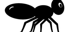 272x125 Ant Clipart Black And White Free Images