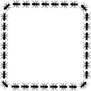 299x297 Ants Border Clipart