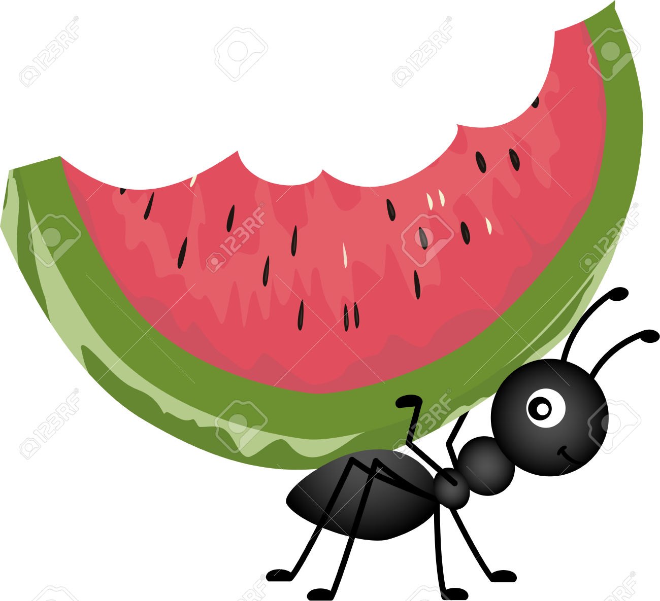 1300x1185 Picnic Clipart Watermelon