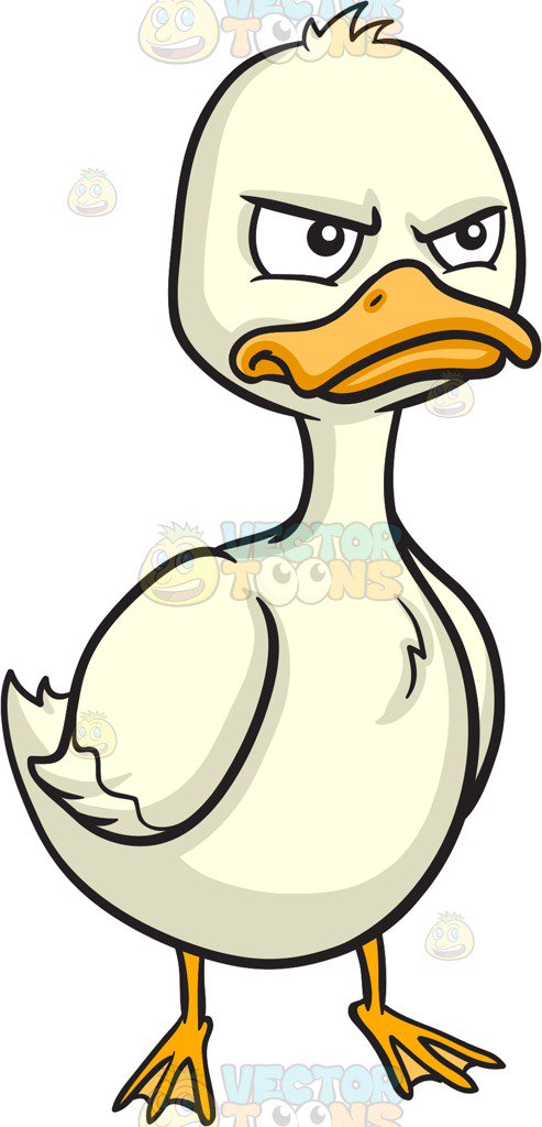 493x1024 An Angry Duck Cartoon Clipart