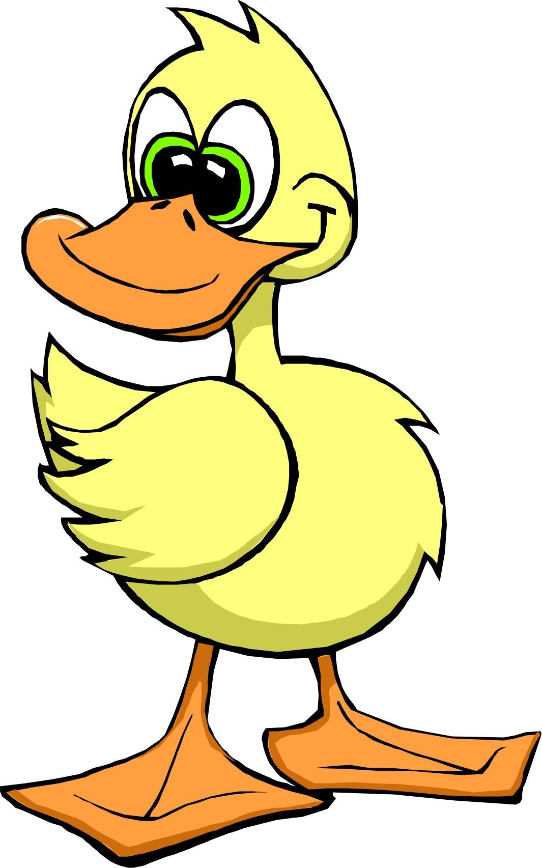 Pics Of Cartoon Ducks Clipart | Free download on ClipArtMag
