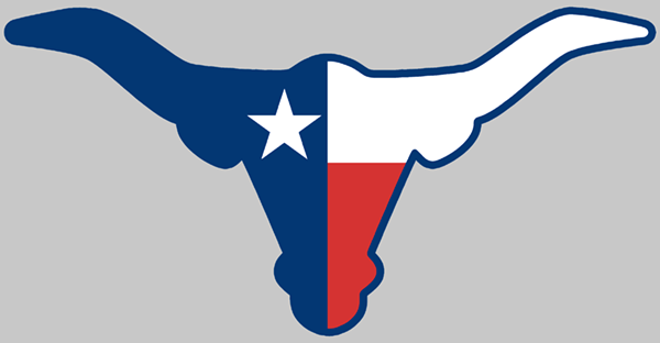 600x312 Longhorn Shaped Texas Flag American Method