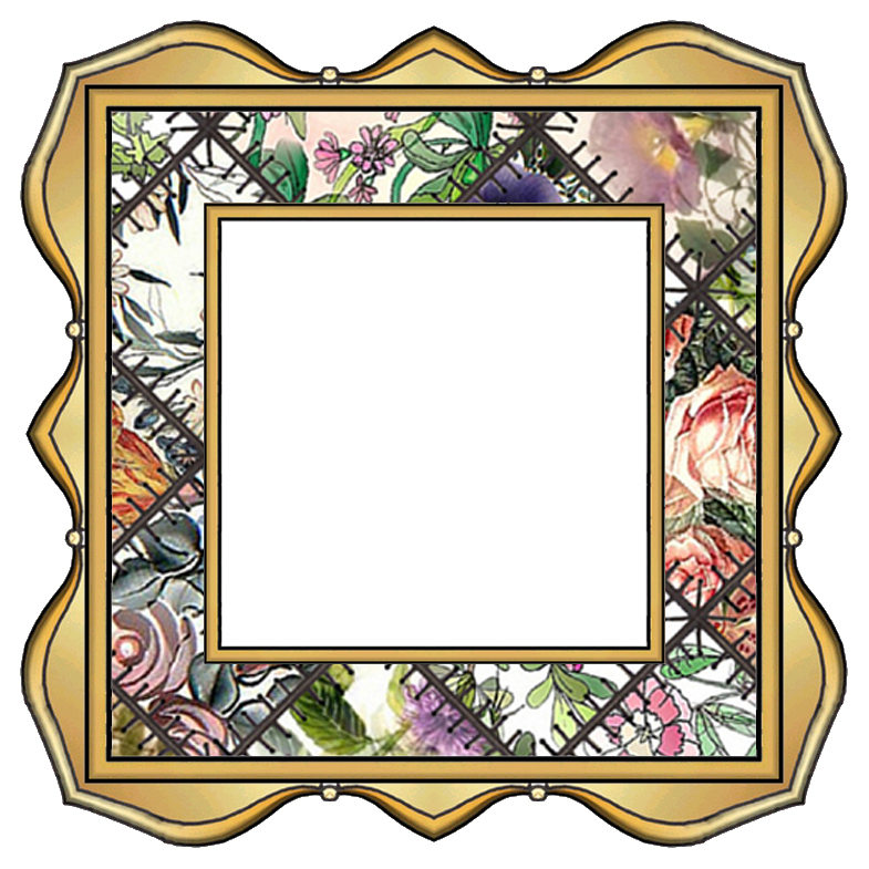 785x785 Fancy Picture Frame Clipart