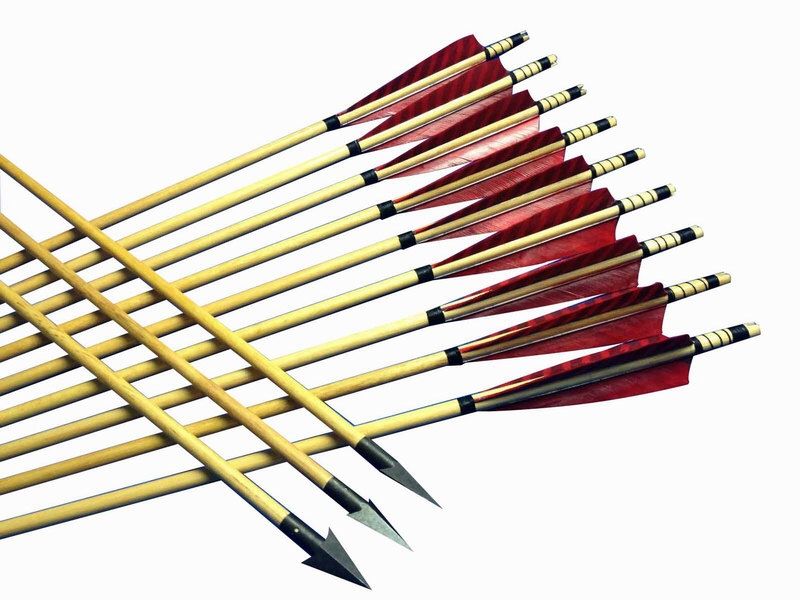 800x600 Best Hunting Arrows Ideas The Hunting Life