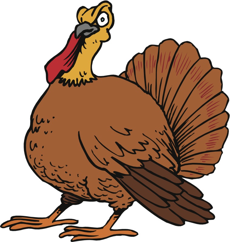 759x798 Czeshop Images Cooked Turkey Clipart